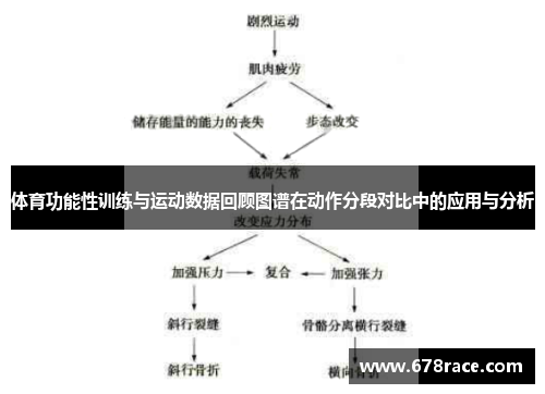 体育功能性训练与运动数据回顾图谱在动作分段对比中的应用与分析